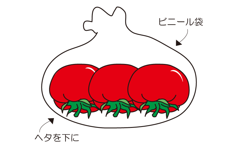 トマトを保存する方法