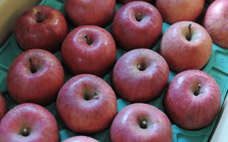 りんごのイメージ4